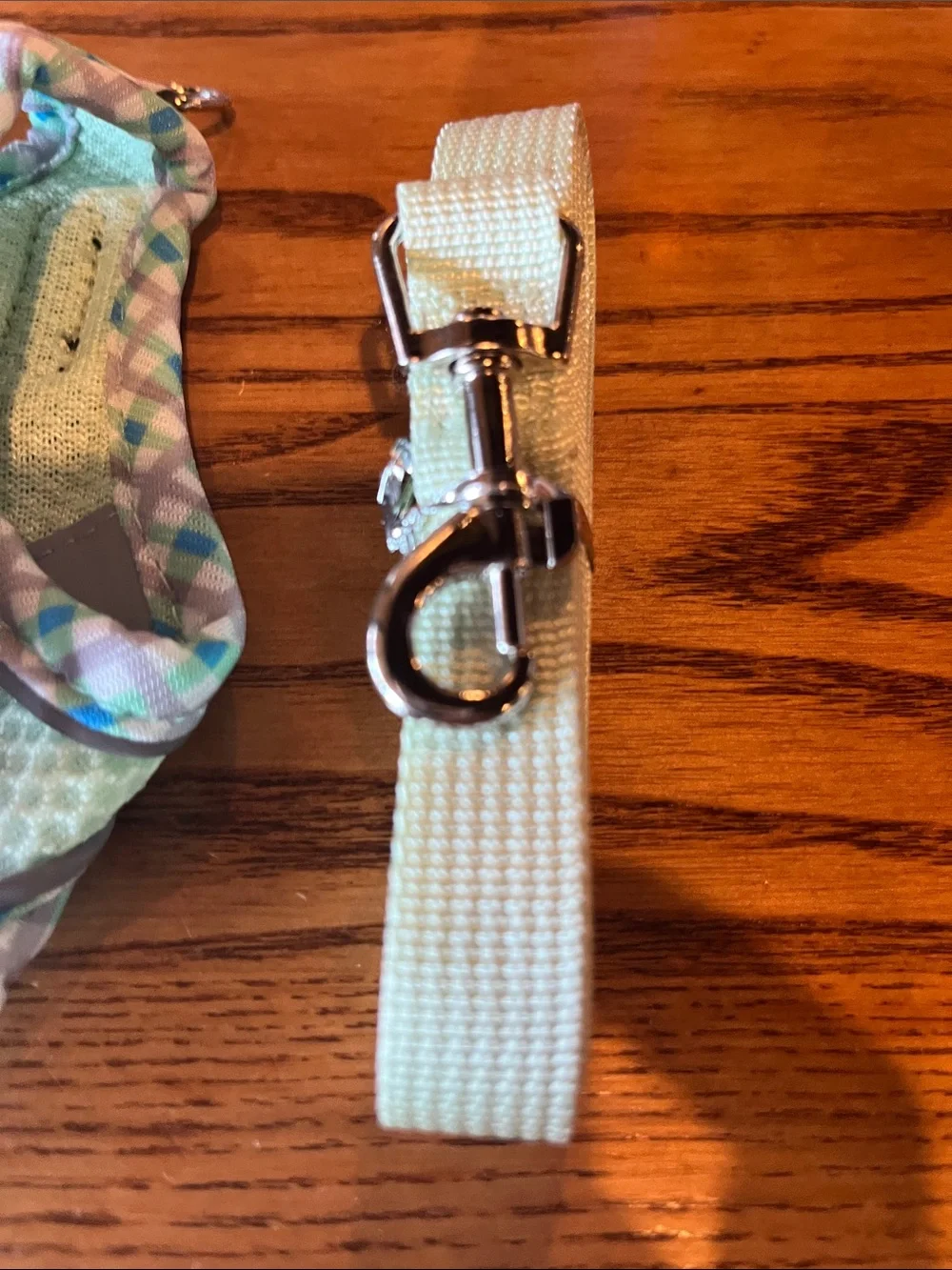 Airtle Pastel Mint Dog Harness with Matching Leash